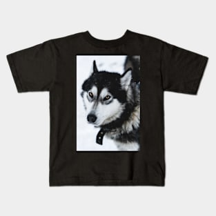 Malamute Dog On a Snow Field Kids T-Shirt